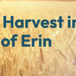 Hometown Harvest in the Village of Erin